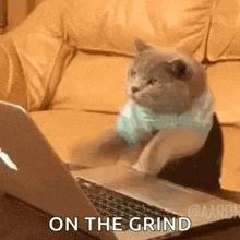 Kot pracowicie pisze na laptopie — napis „On the grind”